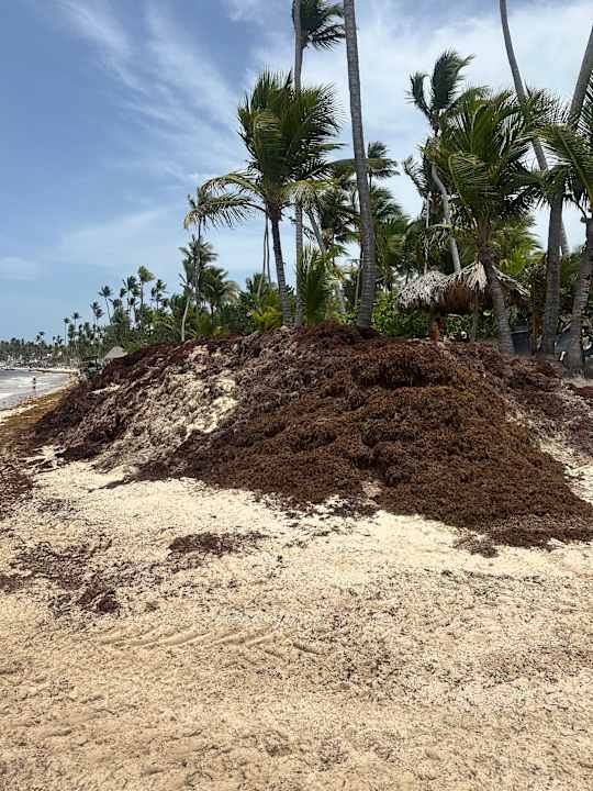 Strand Grand Palladium Punta Cana Resort & Spa