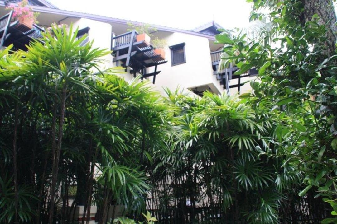 Und wieder viel grün Anantara Bophut Koh Samui Resort