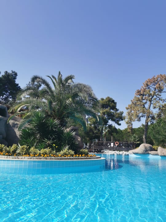 Pool Blue Waters Club