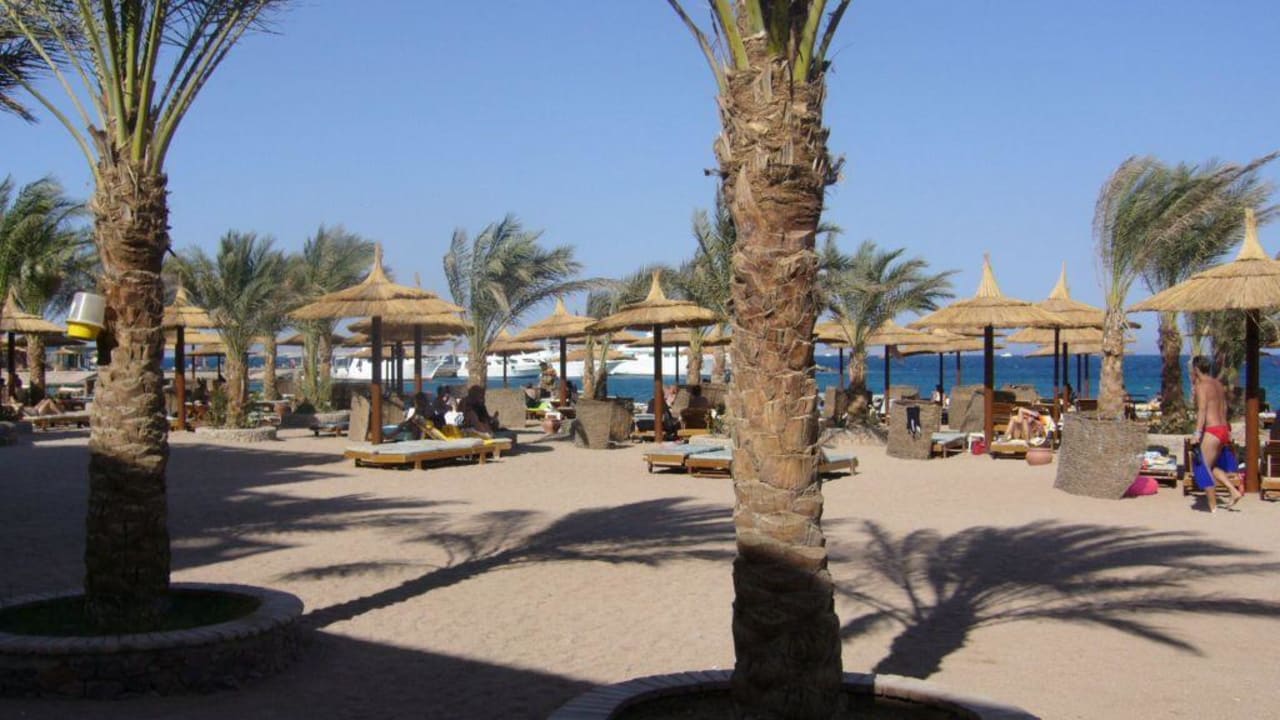 Der Blick zum Strand Beach Albatros Resort