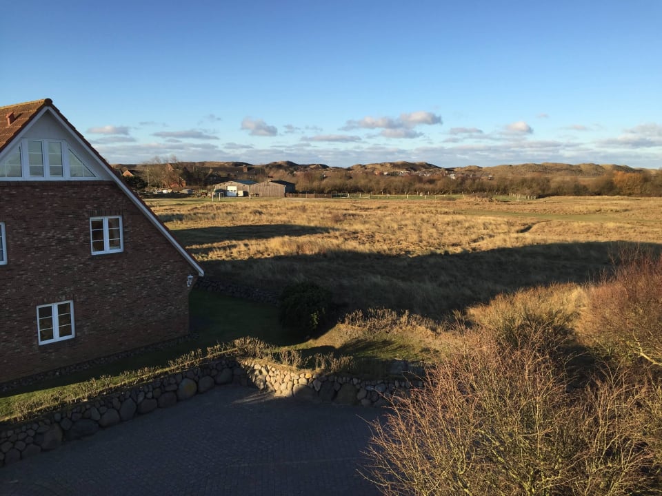 Ausblick auf die Wiese, die das Haus umgibt Ferienwohnungen Biike Hüs