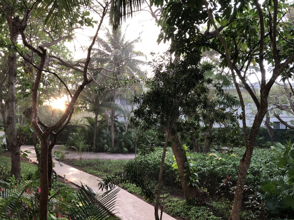 Gartenanlage Akumal Bay Beach & Wellness Resort