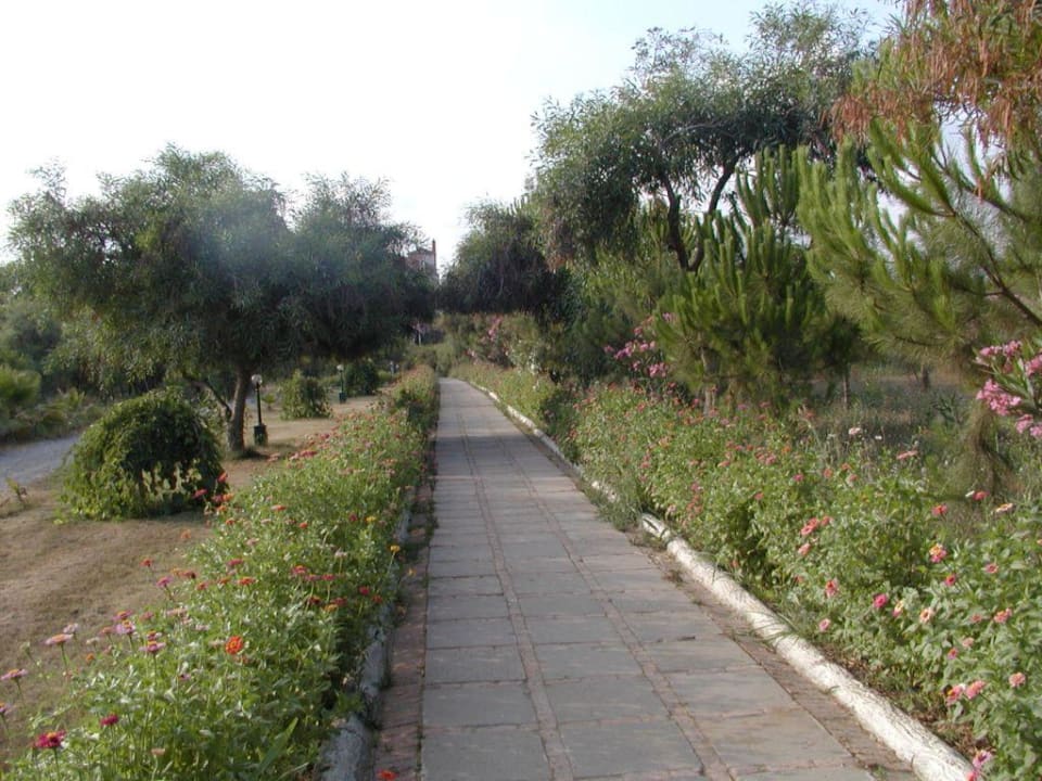 Weg zum Strand Hotel Süral Garden