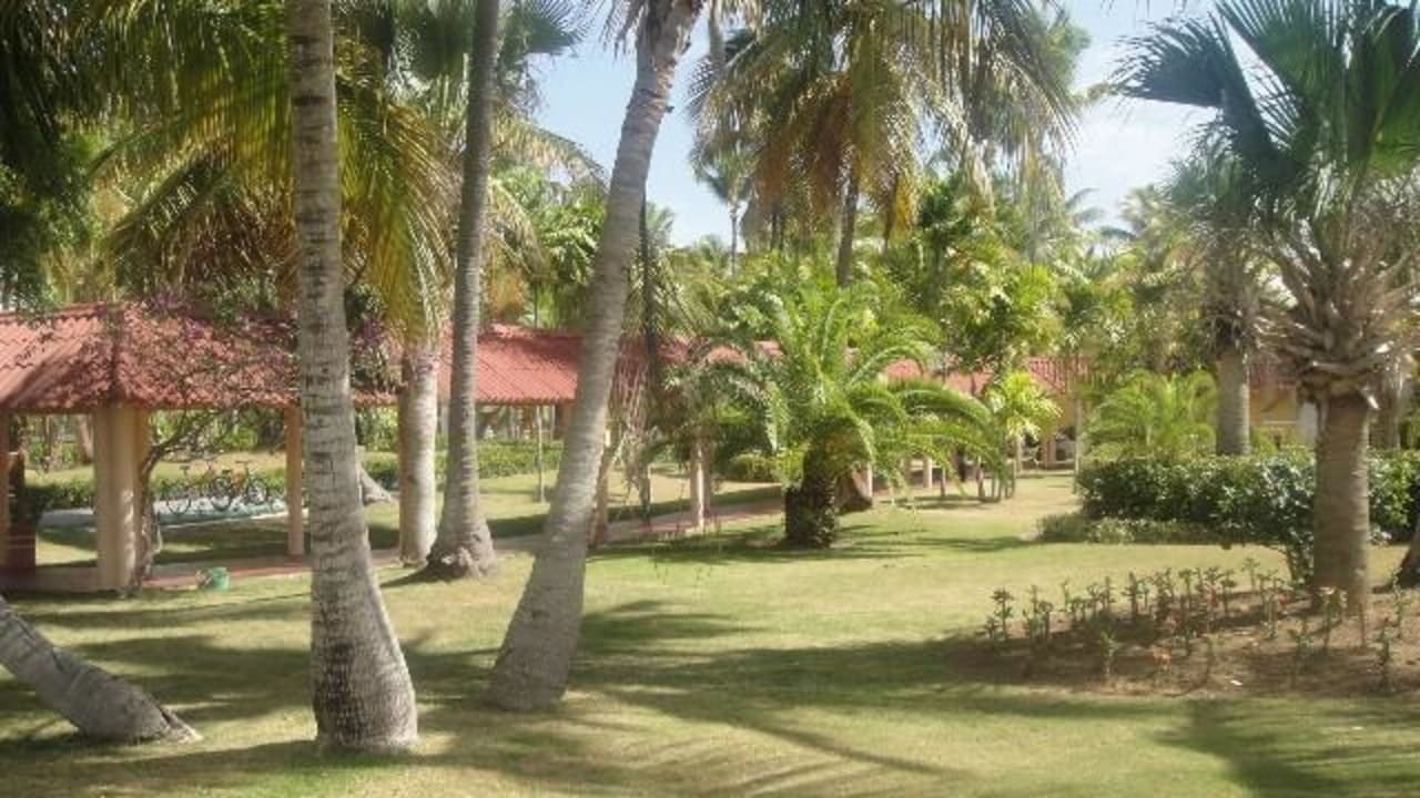 Umgebung Palladium Resort TRS Turquesa Hotel - Adults only