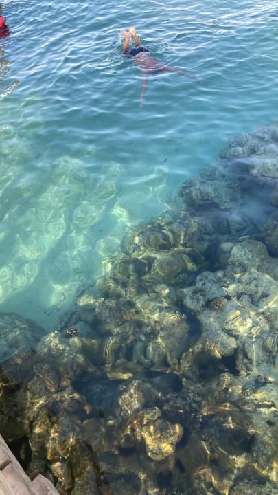 Strand Gravity Hotel & Aquapark Sahl Hasheesh