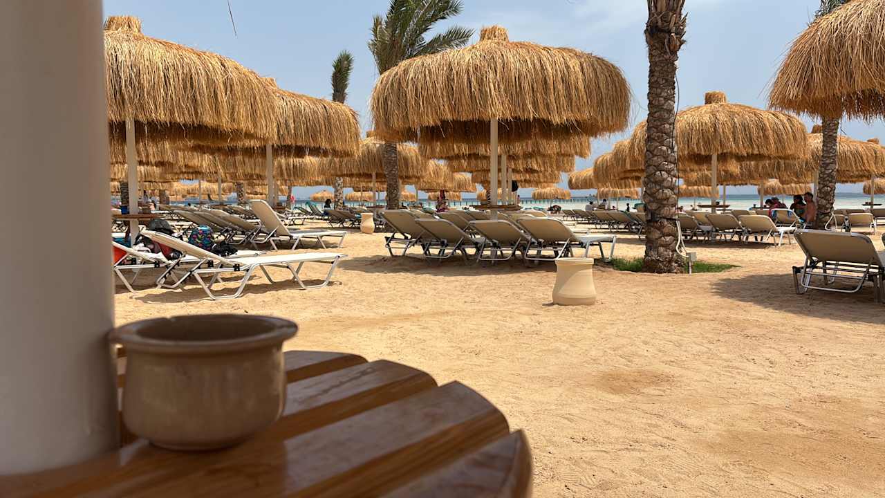 Strand JAZ Elite Asteria