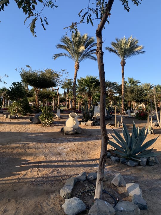 Gartenanlage Steigenberger Aqua Magic