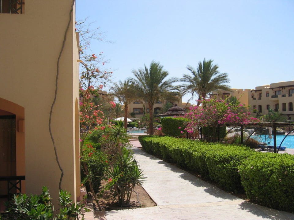 Coraya Beach Steigenberger Coraya Beach - Adults only