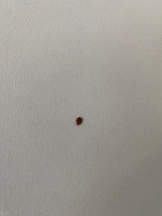 Zimmer Nemea Appart Hotel Elypseo Strasbourg Port