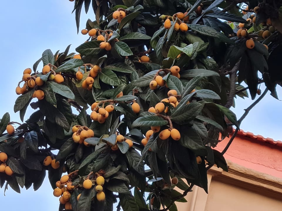 Außenansicht Kresten Palace Hotel