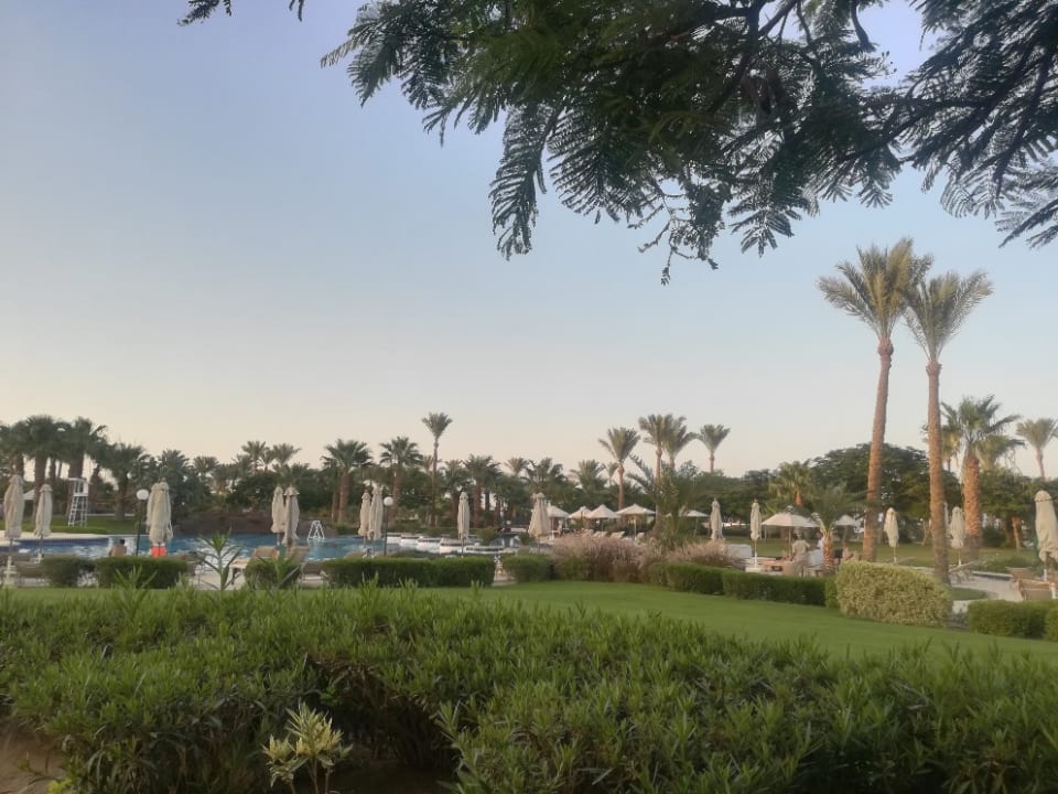 Gartenanlage Steigenberger ALDAU Beach Hotel