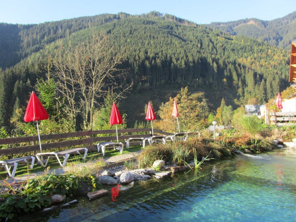 Liegen am Schwimmteich Gartenhotel Daxer