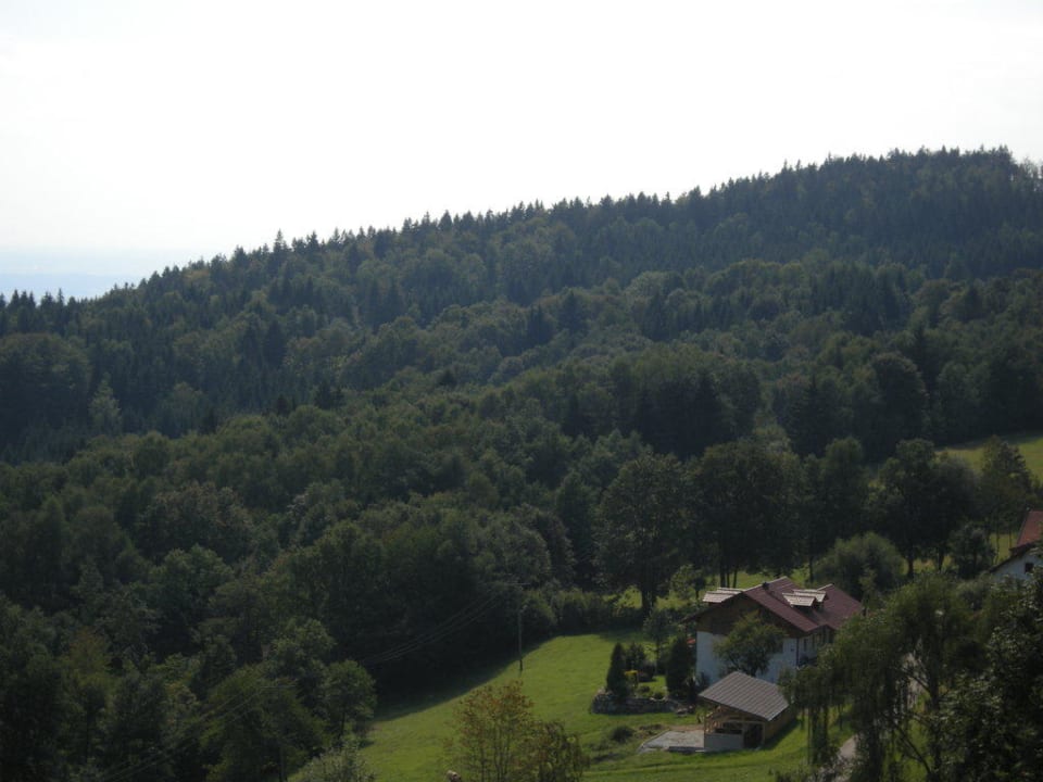 Aussicht Sonnenwald Hotel