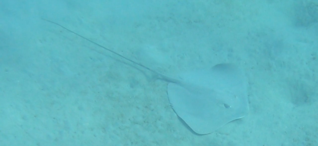 Strand Malikia Resort Abu Dabbab