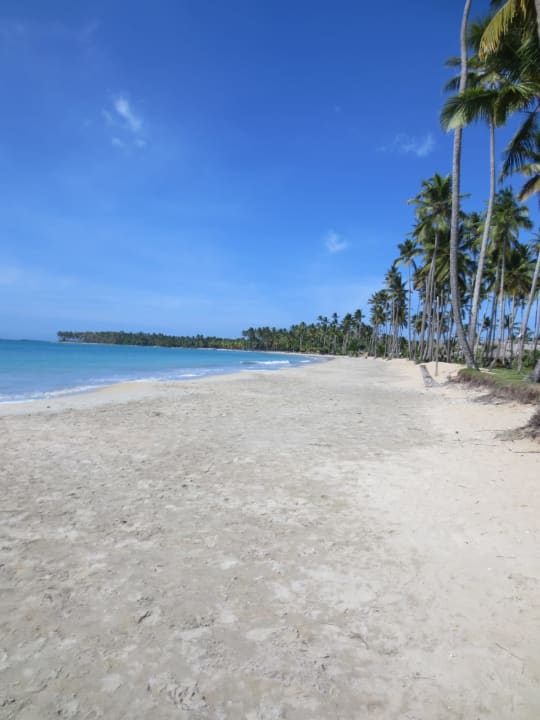 Strand Viva V Samana by Wyndham – Adults Only