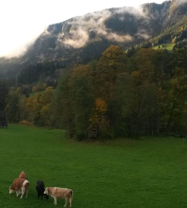 Ausblick Pension Waidmannsruh