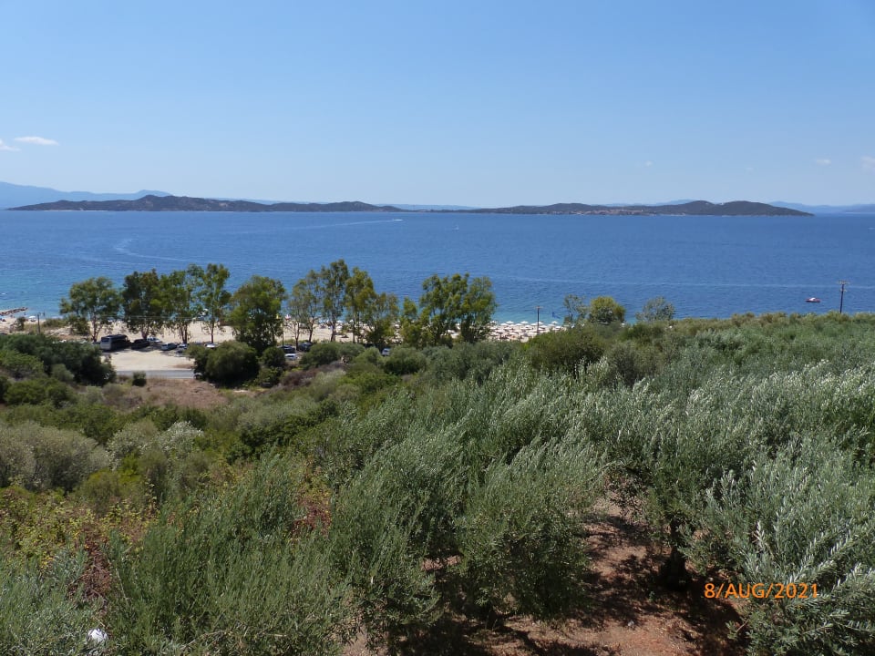 Ausblick Akrathos Beach Hotel