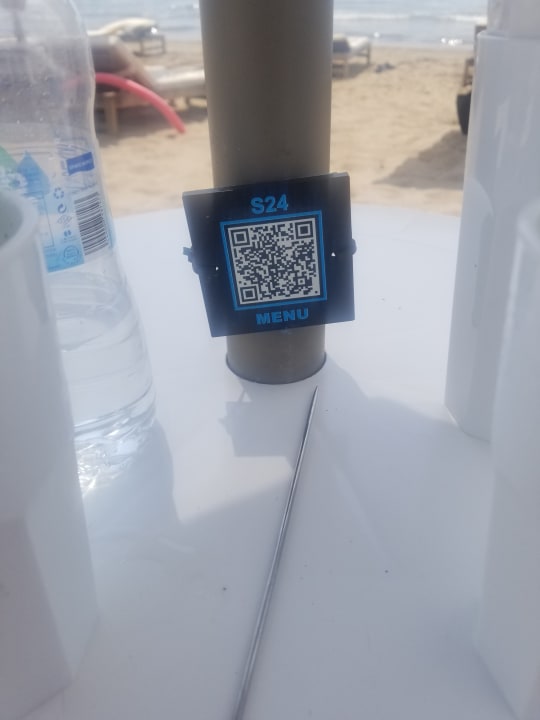 Strand Acanthus Cennet Barut Collection