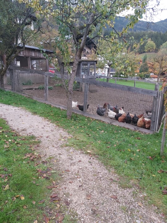 Außenansicht Hotel Kohlerhof