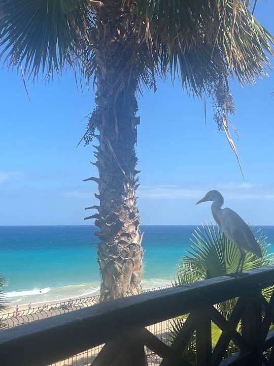Ausblick Fuerteventura Princess