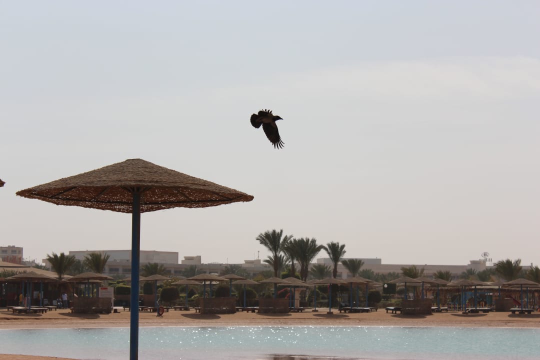 Пляж Hurghada Long Beach Resort