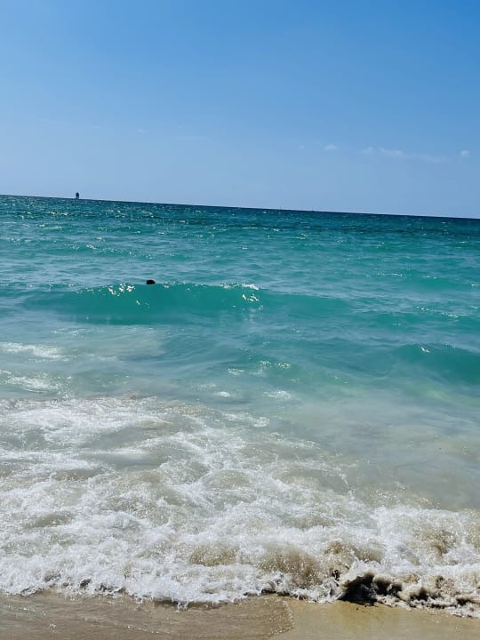 Strand Aparthotel Fontanellas Playa