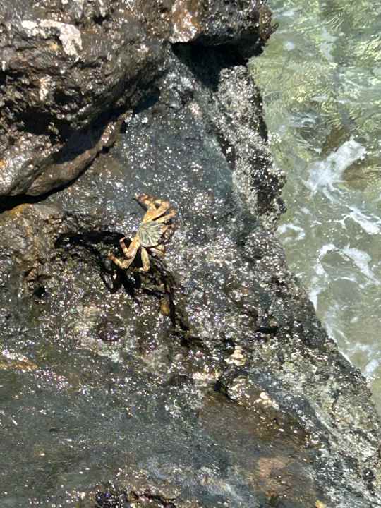 Strand Radisson Blu Resort, El Quseir