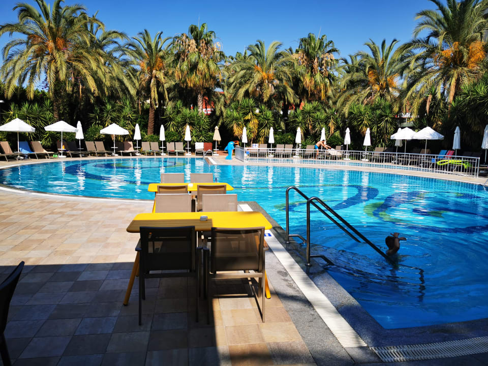 Pool Calimera Hane Garden