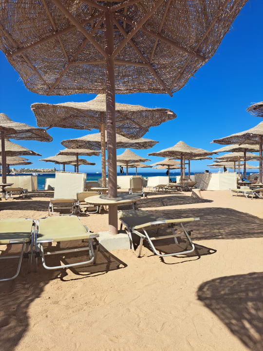 Strand Jaz Makadi Oasis Resort