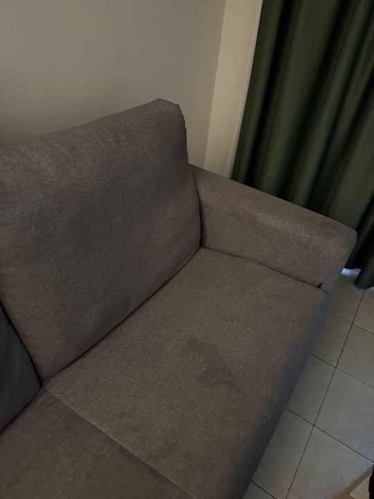 Zimmer Fergus Cactus Garden