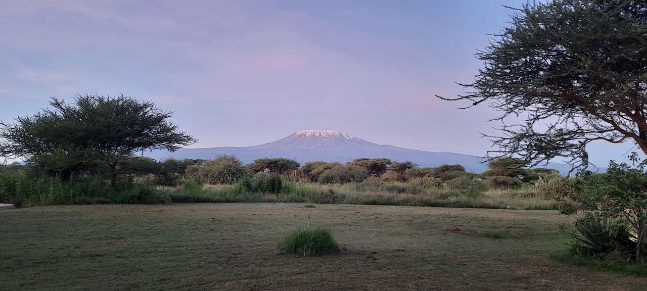 Gartenanlage Hotel Amboseli Sopa Lodge