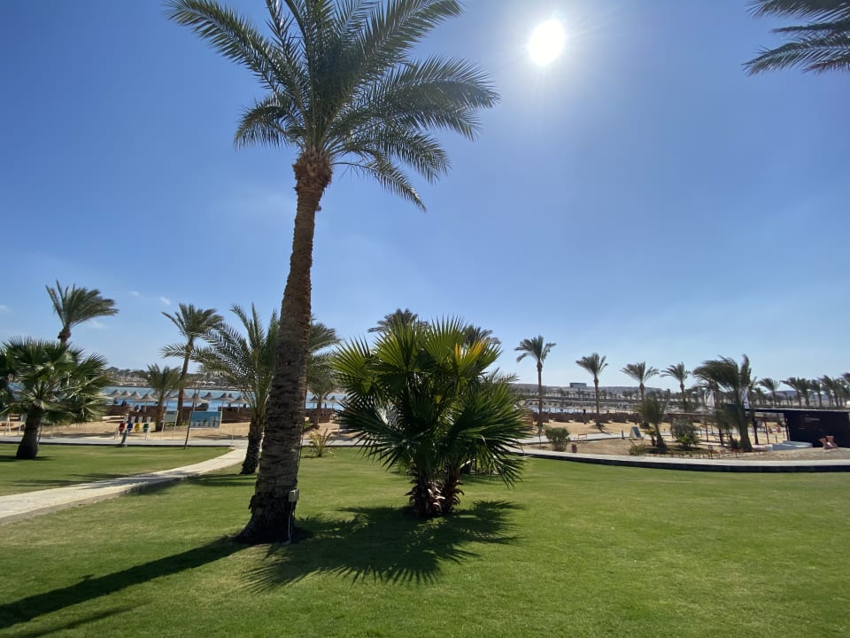 Ausblick Steigenberger Coraya Beach - Adults only