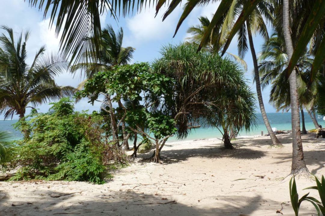 Blick von der Liege PrideInn Flamingo Beach Resort & Spa