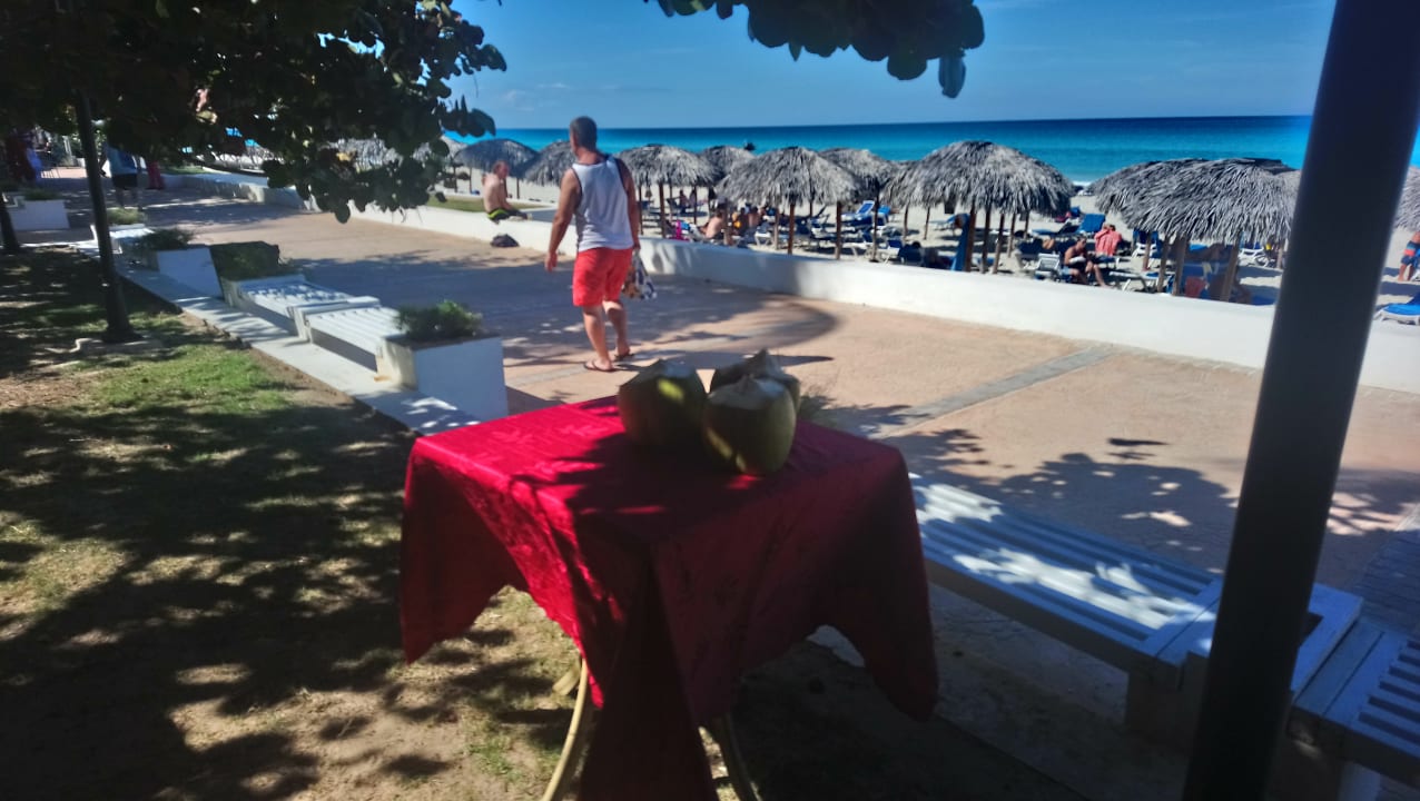 Strand Starfish Cuatro Palmas