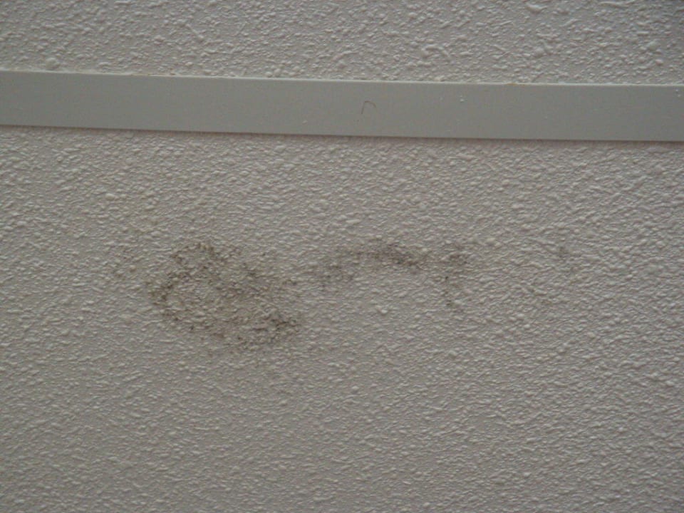 Schimmel La Santa Maria Hotel