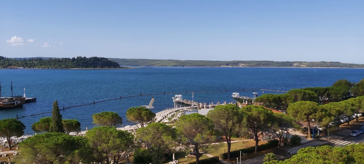 Ausblick Hotel Slovenija - LifeClass Hotels