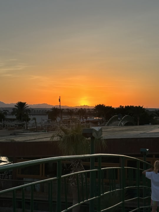 Ausblick Desert Rose