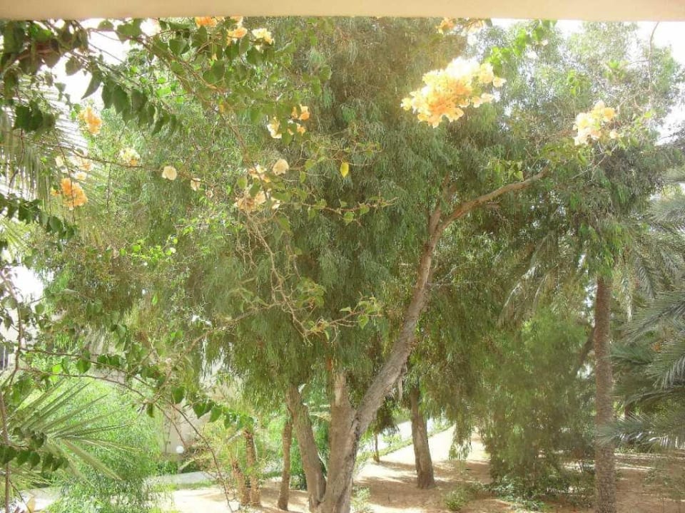 Widok z balkonu Zita Beach Resort