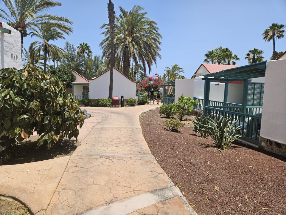 Gartenanlage Aldiana Club Fuerteventura
