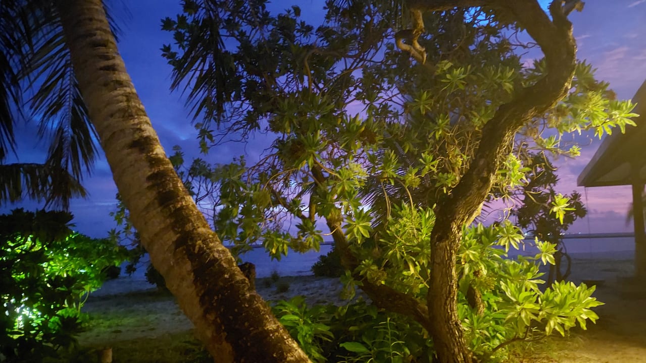 Gartenanlage Adaaran Select Meedhupparu Island Resort - Premium All Inclusive