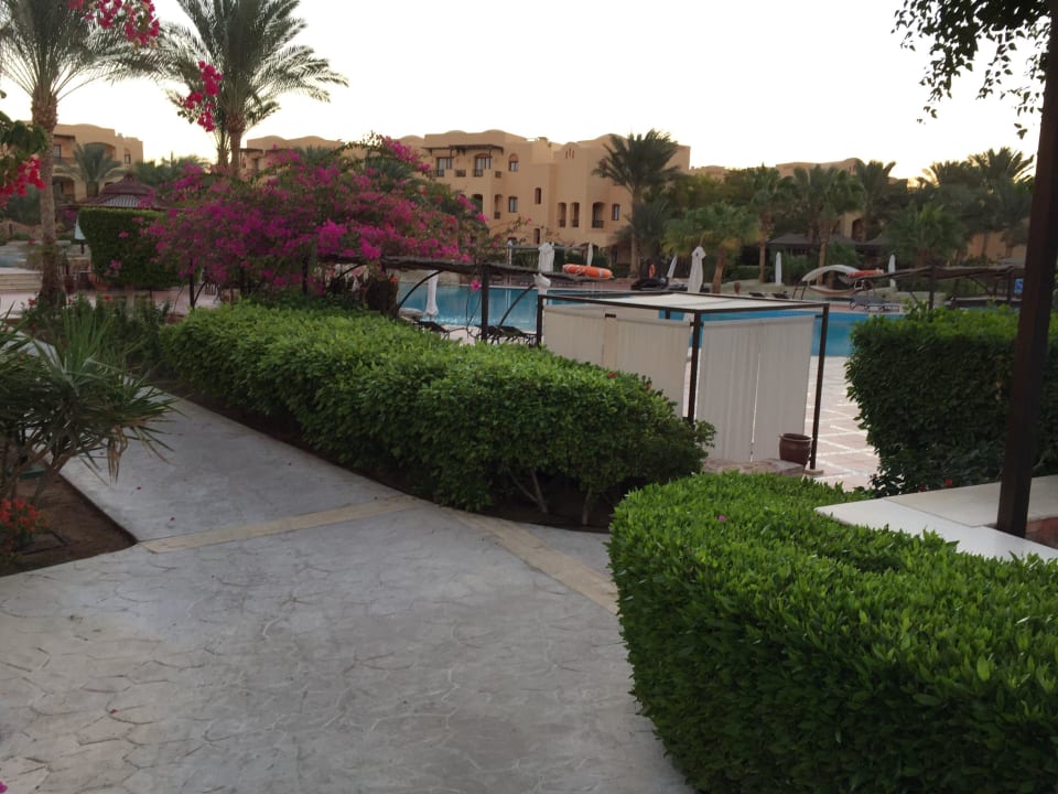 Der Pool Steigenberger Coraya Beach - Adults only