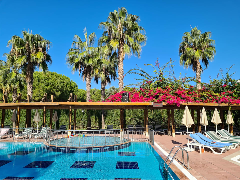 Pool Trendy Palm Beach (Adults Only, 16+)
