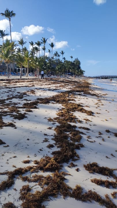 Strand Impressive Premium Punta Cana