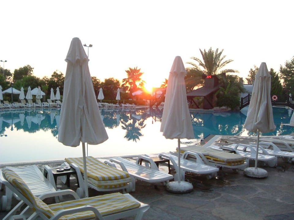 Großer Pool abends Alba Resort Hotel