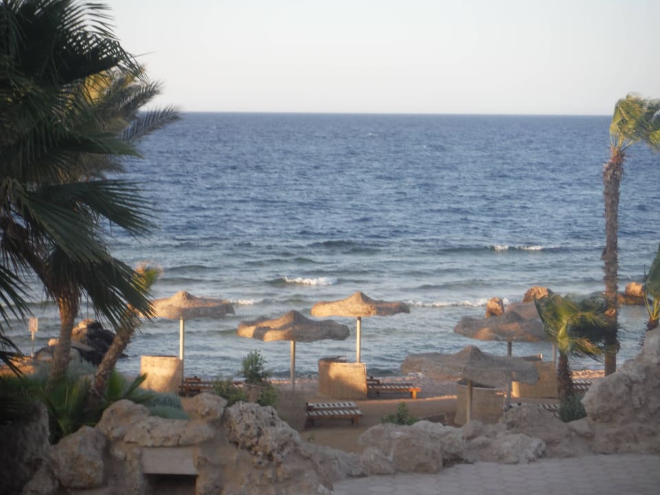 Blick aus der Anlage zum Strand Pickalbatros Citadel Resort