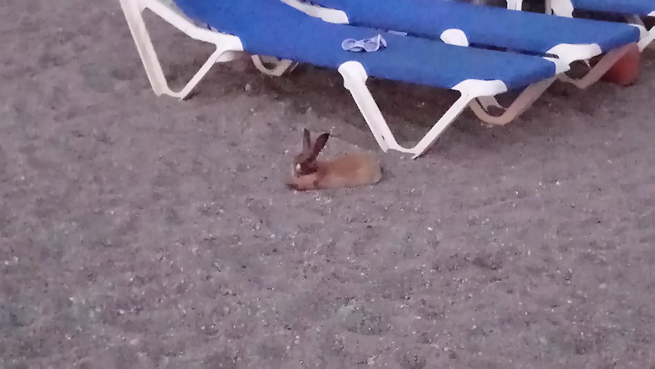 Strand Starlight Resort Hotel