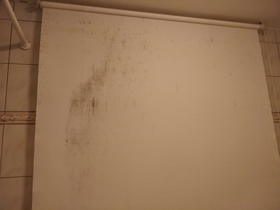 Zimmer Hotel Altastenberg