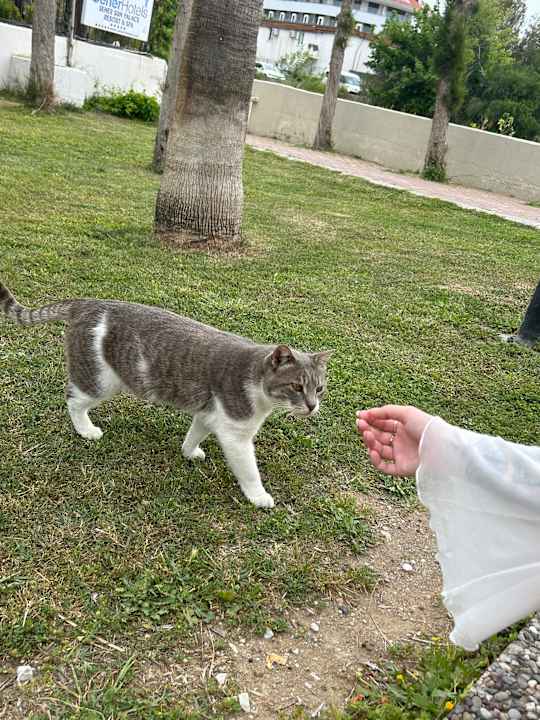Ausblick Sentido Trendy Verbena Beach