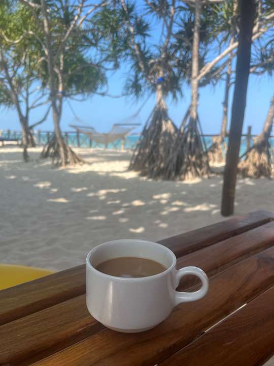 Ausblick Ocean Paradise Resort & Spa