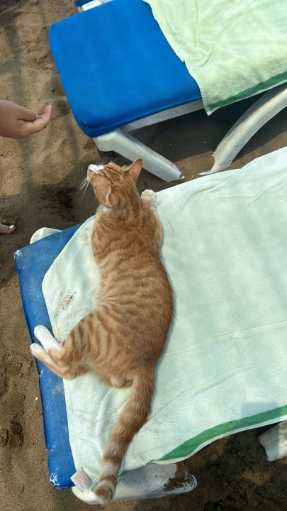 Sonstiges Can Garden Resort